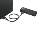 DDock 6.webp