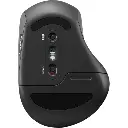 Thinkbook Mouse