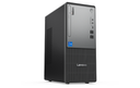 Lenovo ThinkCentre Neo 50t Gen 5 i3-14100 14th Gen Desktop