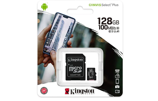 Kingston Canvas Select Plus SDCS2 256 GB Class 10/UHS-I (U1) Micro SD